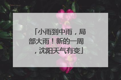 小雨到中雨，局部大雨！新的一周，沈阳天气有变